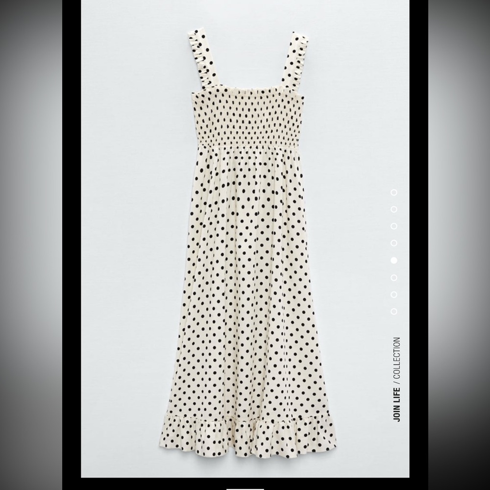 Zara Polka Dot Dress